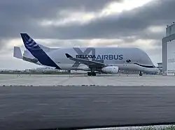 Airbus "Beluga XL" lors de son premier jour à St-Nazaire le 27/08/2019.