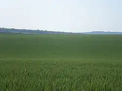 La vallée Jaune, petit vallon à l'ouest de la commune, depuis la rue d'Étouy.