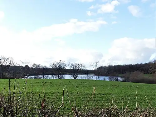L'étang de Signolles vu depuis l'est.