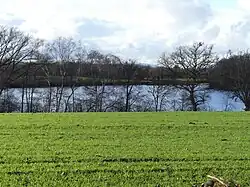 L'étang de Signolles vu depuis l'est.