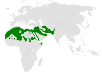 Description de l'image Alaemon alaudipes distribution map.png.