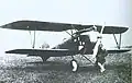 Albatros D.III (Oeffag) Serie 253