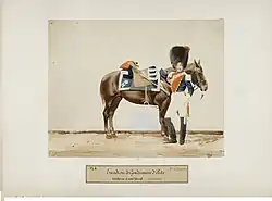 Gendarmes d'élite de la Garde impériale et son cheval en grande tenue.