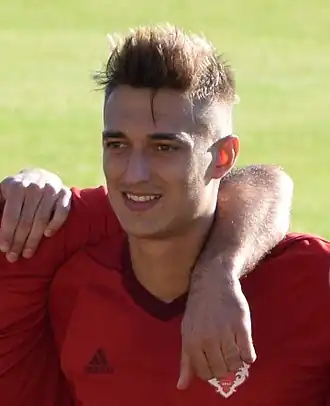 Image illustrative de l’article Aldin Turkeš