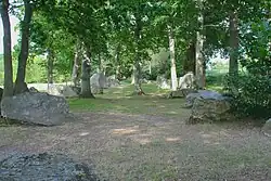 L'alignement de menhirs du Champ des Roches.
