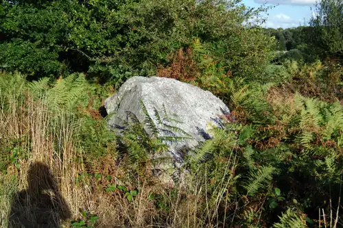 Allée couverte de Saint-André.