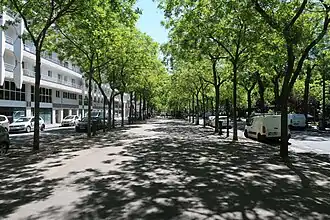 L'allée Georges-Besse.
