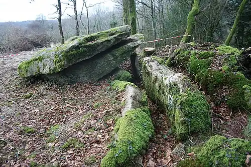 Vue sud de l'allée couverte.