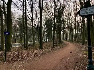 Image illustrative de l’article Allée du Turf