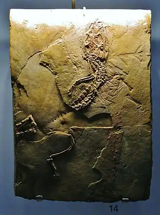 Description de cette image, également commentée ci-après