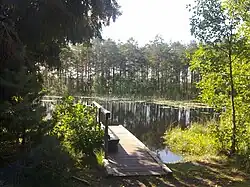 Vue sur le lac depuis le lieu de repos Allikajärvi dans la zone de loisirs de Nõva.