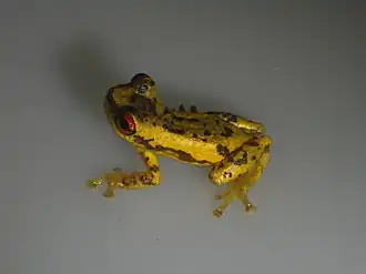 Description de cette image, également commentée ci-après