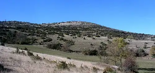 Le puech d'Alluech (altitude 1&nbsp;156&nbsp;m).