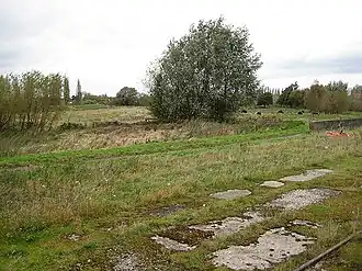 La réserve naturelle d'Alney Island.