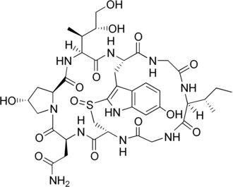 α-Amanitine, une amatoxine présente notamment dans l'amanite phalloïde