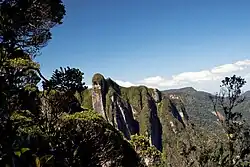 Une falaise abrupte partiellement couverte de forêt surgissant des nuages au-dessus de la forêt en-dessous.
