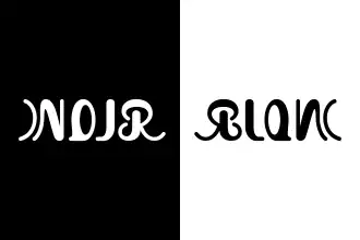 « Noir / Blanc », symétrie par réflexion d'axe vertical.