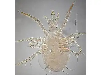 Description de cette image, également commentée ci-après