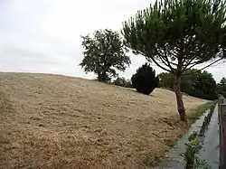 Photographie en couleurs d'un talus herbeux.