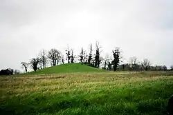 Photographie en couleurs d'une butte partiellement plantée d'arbres au milieu d'une prairie.