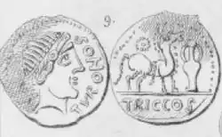 Dessin en noir en noir et blanc d'une monnaie antique, avers et revers.