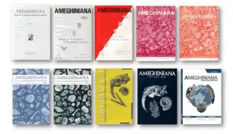 Image illustrative de l’article Ameghiniana