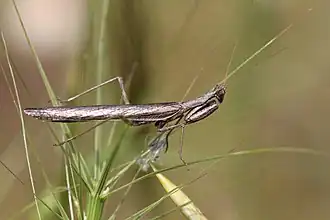 Description de cette image, également commentée ci-après