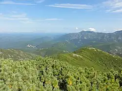 Sikhote-Aline dans les environs d'Amgou.