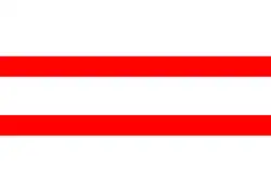 Drapeau de Ammerzoden