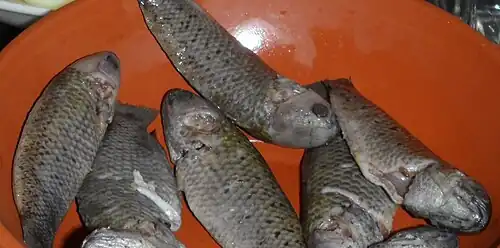 Écaillées et vidées.