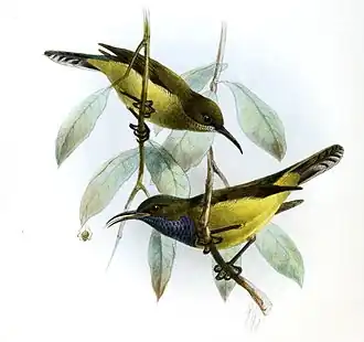 Description de cette image, également commentée ci-après