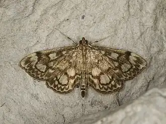 Description de cette image, également commentée ci-après