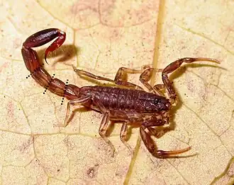 Description de cette image, également commentée ci-après