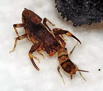 Description de cette image, également commentée ci-après