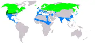 Anas acuta (dans le monde)