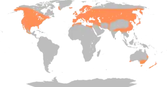 Description de l'image Anas platyrhynchos distribution map.png.