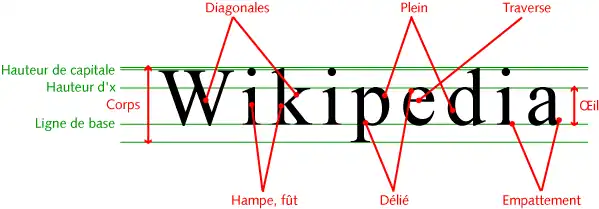Figure résumant les principaux termes typographiques.