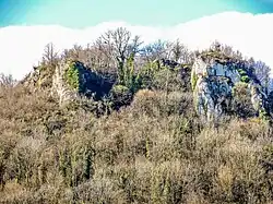 Les ruines du château d'Arguel.
