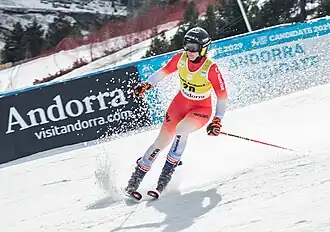 Image illustrative de l’article Andrea Ellenberger