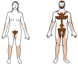 Homo sapiens - femelle et mâle