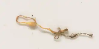 Description de cette image, également commentée ci-après