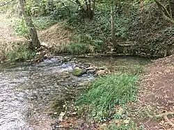 Résurgence de Mérigny