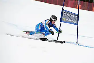 Image illustrative de l’article Anna Swenn-Larsson