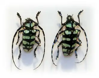 Description de cette image, également commentée ci-après