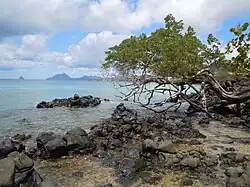Quelques rochers et vue sur le Rocher du Diamant et le Morne Larcher.