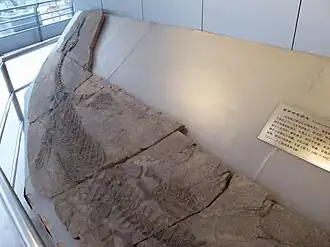 Description de cette image, également commentée ci-après