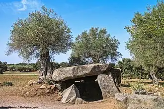 Image illustrative de l’article Antas de Olival da Pêga