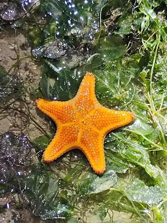 Description de cette image, également commentée ci-après