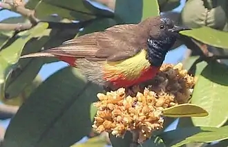 Description de cette image, également commentée ci-après