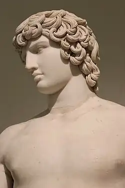 Tête et buste de l'Antinoüs Farnèse.